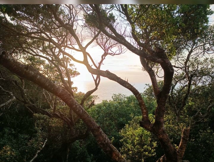 🏡 Chalé à Venda | Chalet for Sale Uma excelente oportunidade junto ao mar | 5850000 MZN | Ponta do Ouro, Matutuíne, Maputo | MzDeal