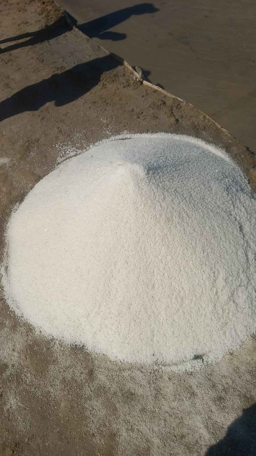 🧂 SAL BRANCO — SACOS DE 50 KG 🇲🇿 | WHITE SALT — 50 KG BAGS 🇲🇿xo | 800 MZN | FRELIMO, Sommerschield, Maputo | MzDeal