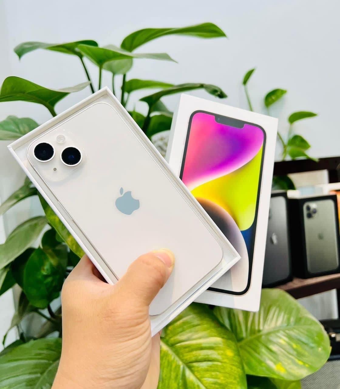 IPhone 14 Normal | 34000 MZN | FRELIMO, Sommerschield, Maputo | MzDeal